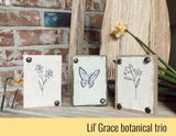 Lil' Grace DIY Bi-Monthly Kit